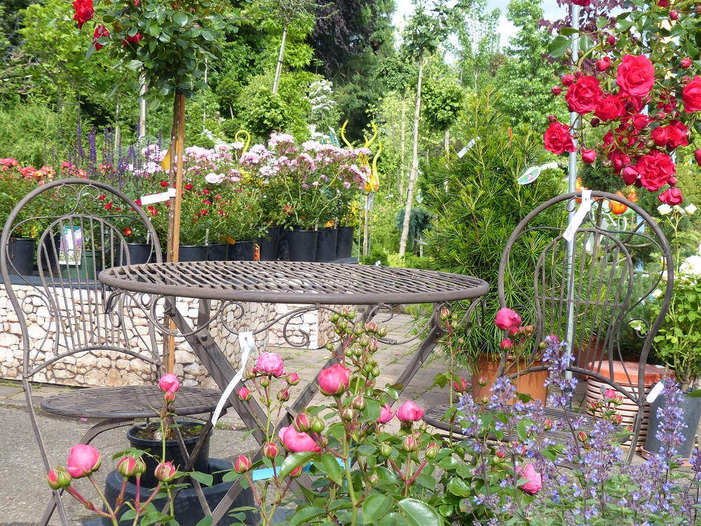 Vogg_Sommer_2016 1.jpg